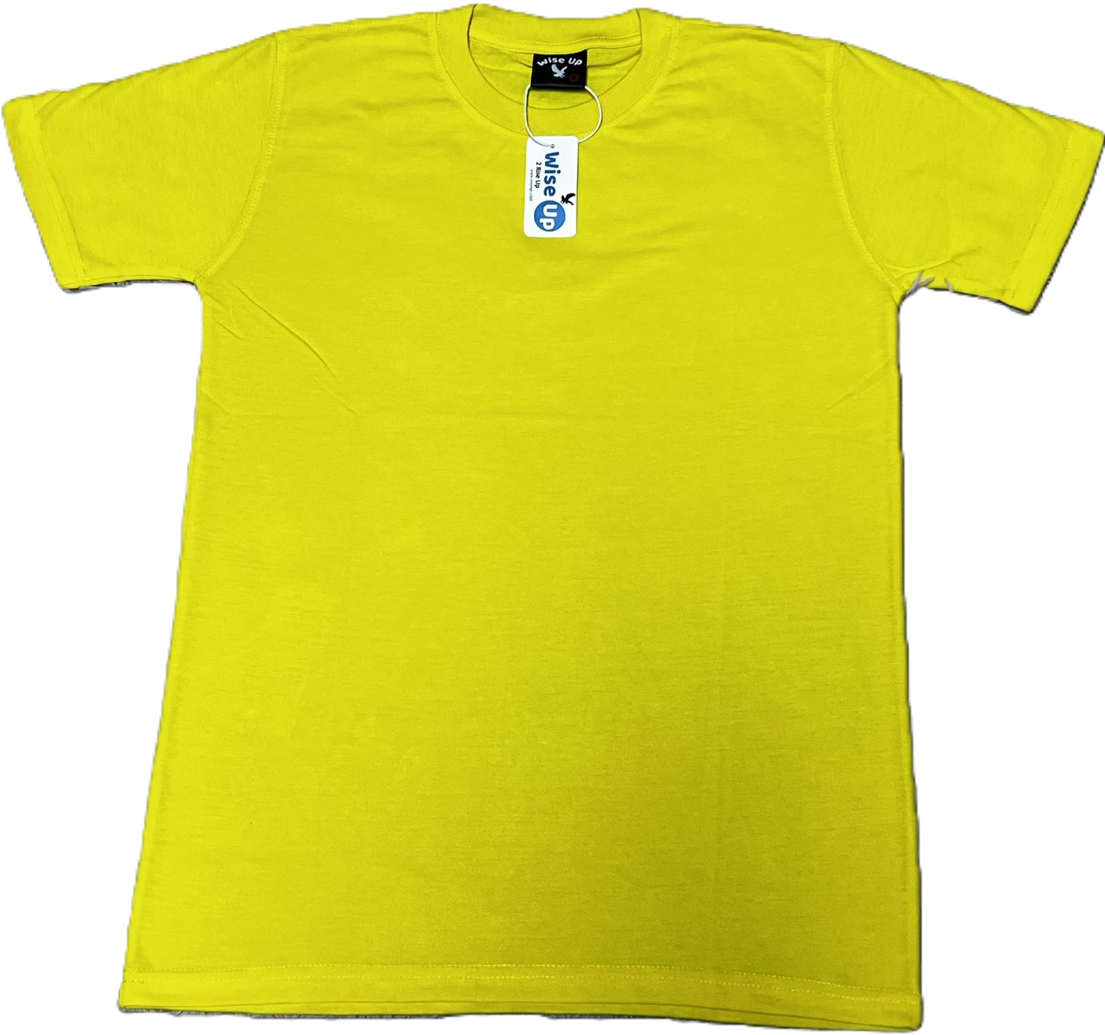 UNISEX SOLID CREW NECK TSHIRTS